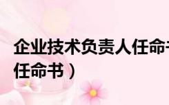 企业技术负责人任命书红头（企业技术负责人任命书）