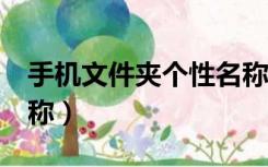 手机文件夹个性名称8个（手机文件夹个性名称）