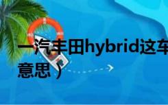 一汽丰田hybrid这车多少钱（hybrid是什么意思）