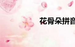 花骨朵拼音（花骨朵）