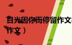 目光因你而停留作文800字（目光因你而停留作文）