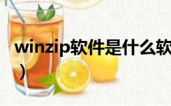 winzip软件是什么软件（WinZip是什么软件）