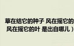 草在结它的种子 风在摇它的叶子是什么意思（草在结它的子 风在摇它的叶 是出自哪儿）