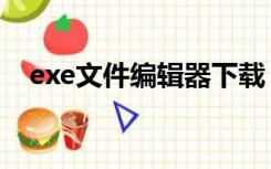 exe文件编辑器下载（exe文件怎么编辑）