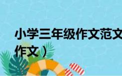 小学三年级作文范文20篇（小学六年级优秀作文）