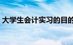 大学生会计实习的目的（大学生实习的目的）