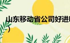 山东移动省公司好进吗（应聘山东移动的理由）