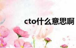 cto什么意思啊（cto什么意思）