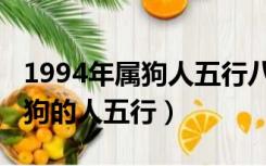 1994年属狗人五行八卦幸运数字（1994年属狗的人五行）