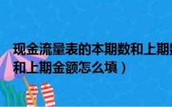 现金流量表的本期数和上期数怎么填（现金流量表本期金额和上期金额怎么填）