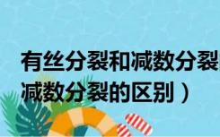 有丝分裂和减数分裂的区别ppt（有丝分裂和减数分裂的区别）