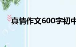 真情作文600字初中（真情作文600字）