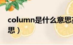 column是什么意思英文（column是什么意思）