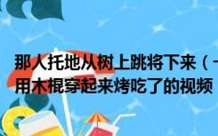 那人托地从树上跳将下来（一女人从树上下来 被人打死然后用木棍穿起来烤吃了的视频  _）