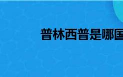 普林西普是哪国人（普林西普）