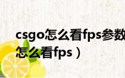 csgo怎么看fps参数表怎么调到上面（csgo怎么看fps）