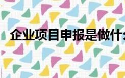 企业项目申报是做什么的（企业项目申报）