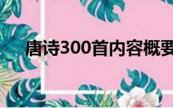 唐诗300首内容概要（唐诗300首内容）