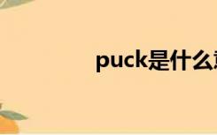 puck是什么意思（puck）