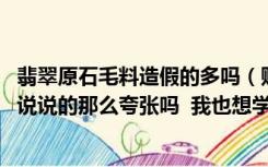 翡翠原石毛料造假的多吗（赌石毛料翡翠原石是什么 真有小说说的那么夸张吗  我也想学赌石）