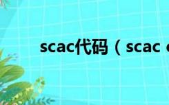 scac代码（scac code是什么意思）