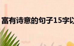 富有诗意的句子15字以上（富有诗意的句子）