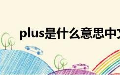 plus是什么意思中文（pu是什么意思）