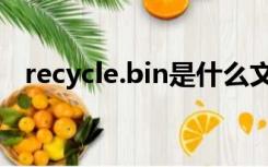 recycle.bin是什么文件夹（recycle bin）