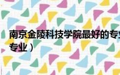 南京金陵科技学院最好的专业是什么（金陵科技学院最好的专业）