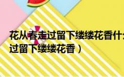 花从春走过留下缕缕花香什么从夏走过留下什么（花从春走过留下缕缕花香）