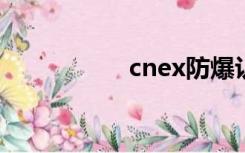 cnex防爆认证（cne）