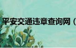 平安交通违章查询网（平安在线违章查询网）