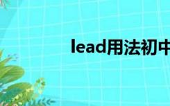 lead用法初中（lead用法）