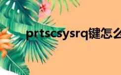 prtscsysrq键怎么用（prtscsysrq）