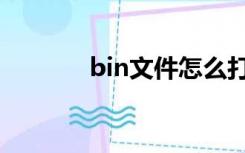 bin文件怎么打开（bin文件）