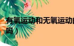 有氧运动和无氧运动的区别（有氧运动瘦肚子吗）