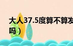 大人37.5度算不算发烧（大人37.5度算发烧吗）