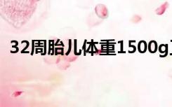 32周胎儿体重1500g正常（32周胎儿体重）