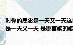 对你的思念是一天又一天这首歌的歌名是什么（对你的思念是一天又一天 是哪首歌的歌词）