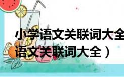 小学语文关联词大全二年级语文18课（小学语文关联词大全）