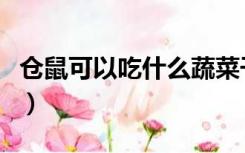 仓鼠可以吃什么蔬菜干（仓鼠可以吃什么蔬菜）