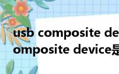 usb composite device是什么意思（usb composite device是什么）