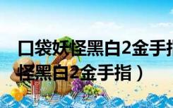 口袋妖怪黑白2金手指代码怎么使用（口袋妖怪黑白2金手指）