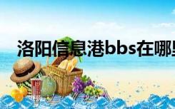 洛阳信息港bbs在哪里（洛阳信息港bbs）