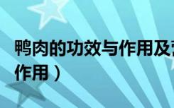鸭肉的功效与作用及营养价值（鸭肉的功效与作用）