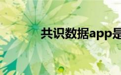 共识数据app是做什么（共识）