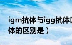 igm抗体与igg抗体区别（IgM抗体和IgG抗体的区别是）