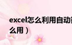 excel怎么利用自动筛选（excel自动筛选怎么用）