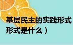 基层民主的实践形式（我国基层民主的内容和形式是什么）