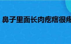 鼻子里面长肉疙瘩很疼（鼻子里面长肉疙瘩）